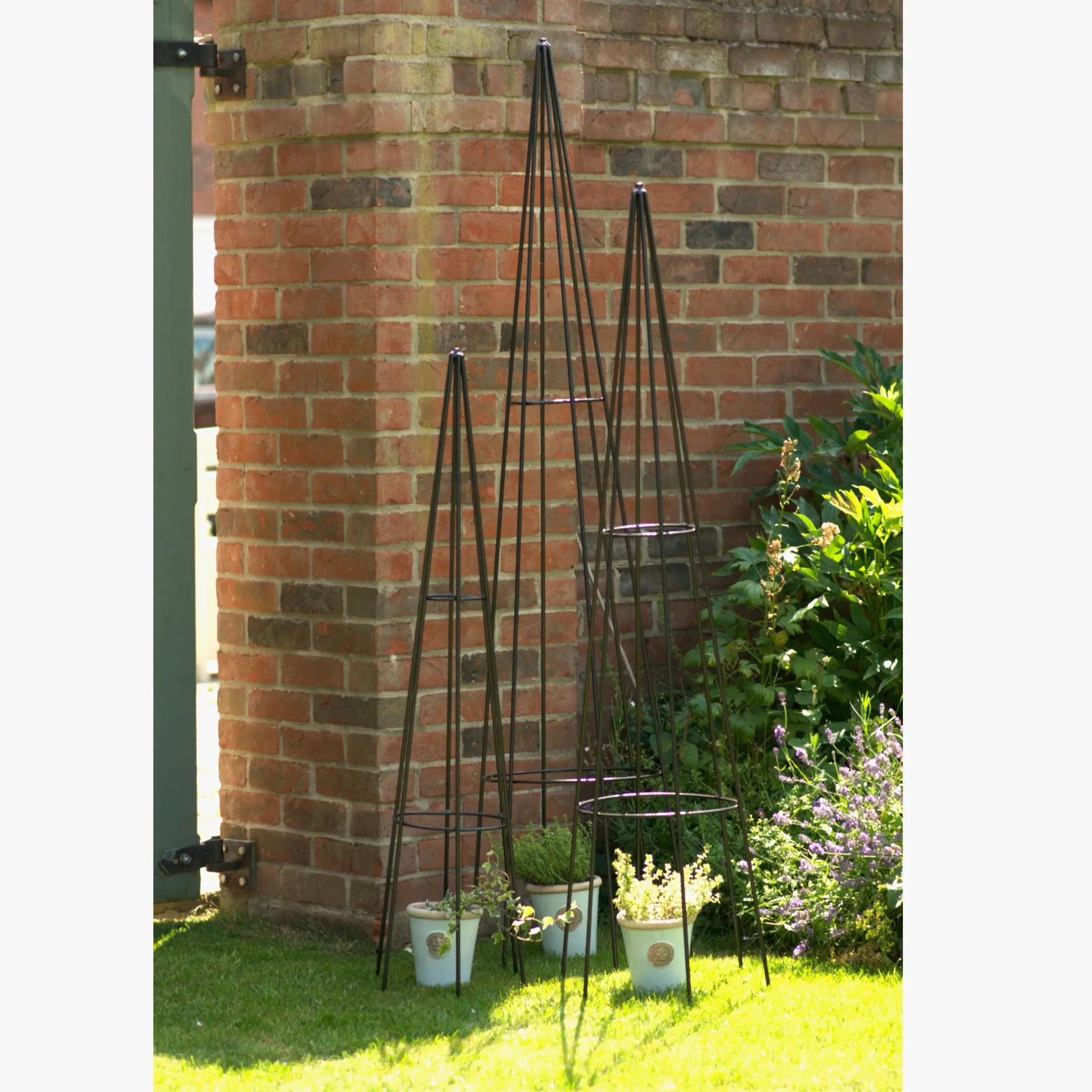 Black Steel Garden Plant Support Obelisk Multiple Sizes