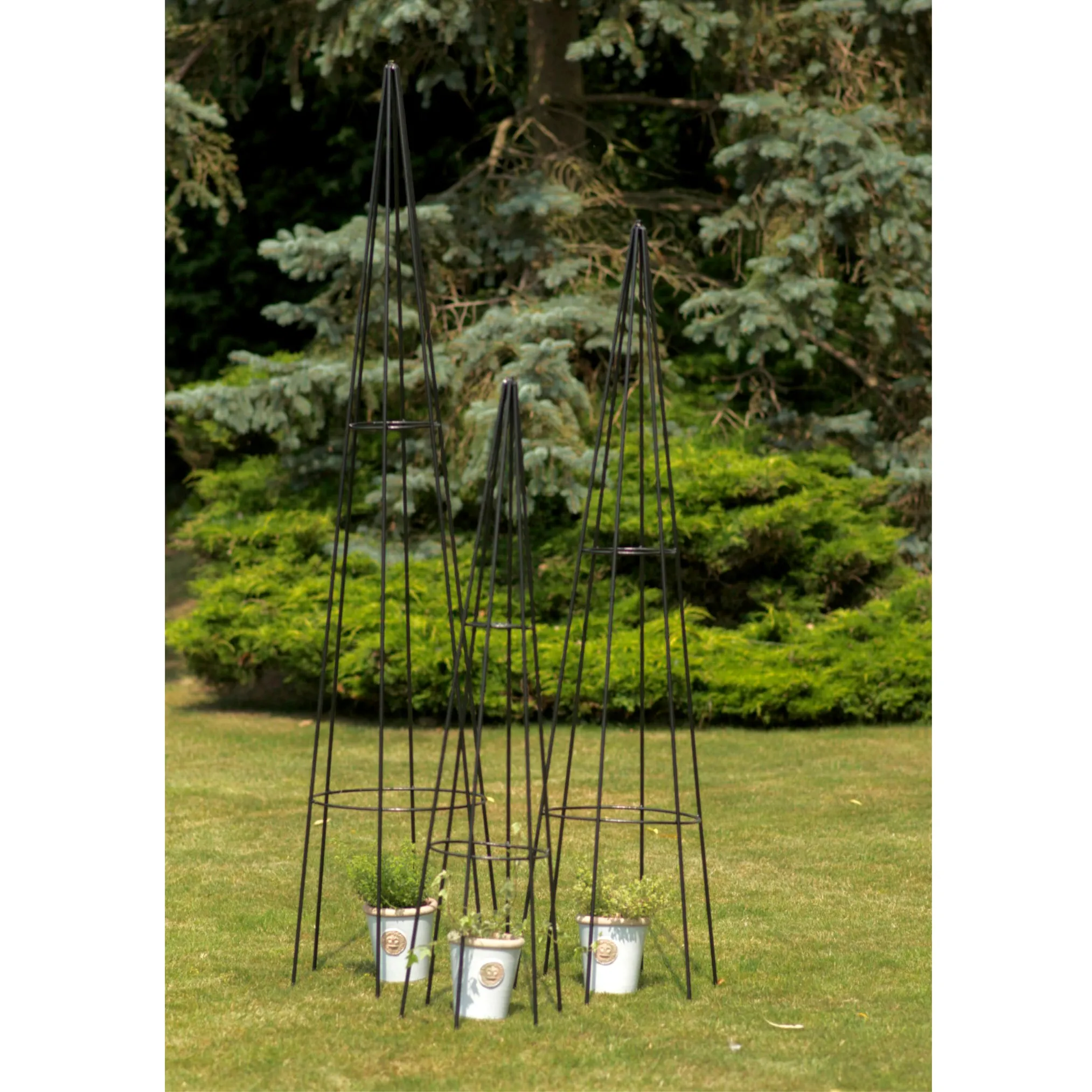 Black Steel Garden Plant Support Obelisk Multiple Sizes