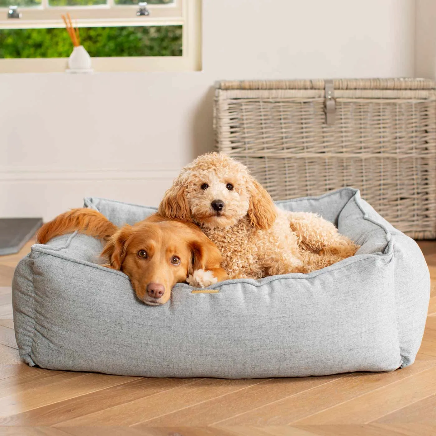 Box Bed In Inchmurrin Iceberg by Lords & Labradors