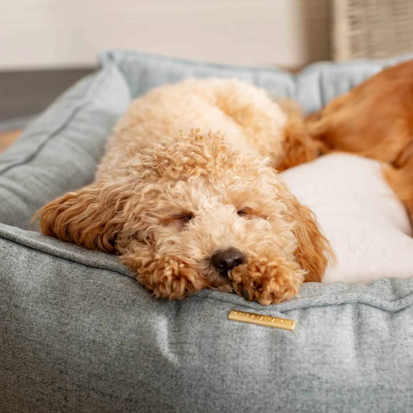 Box Bed In Inchmurrin Iceberg by Lords & Labradors