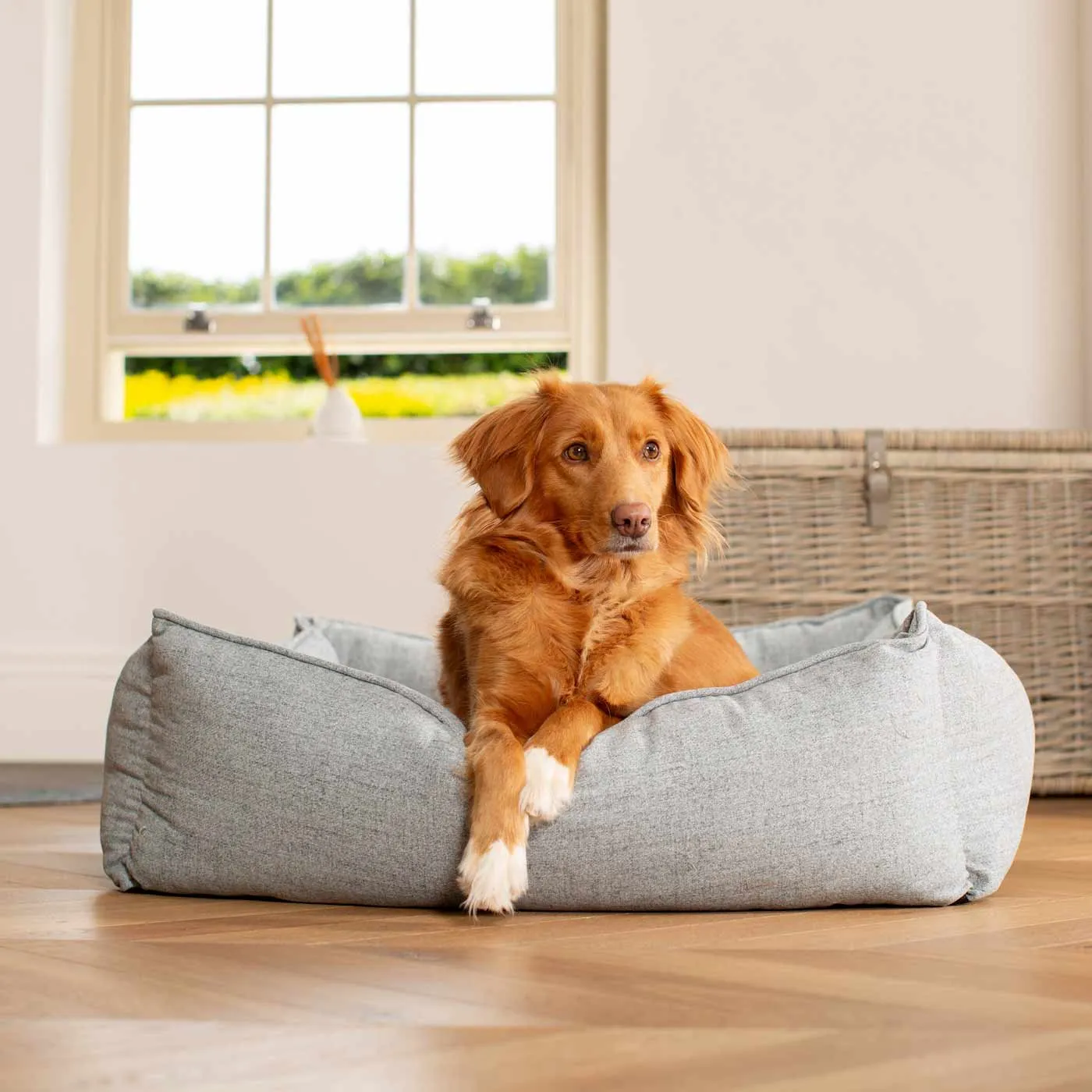 Box Bed In Inchmurrin Iceberg by Lords & Labradors