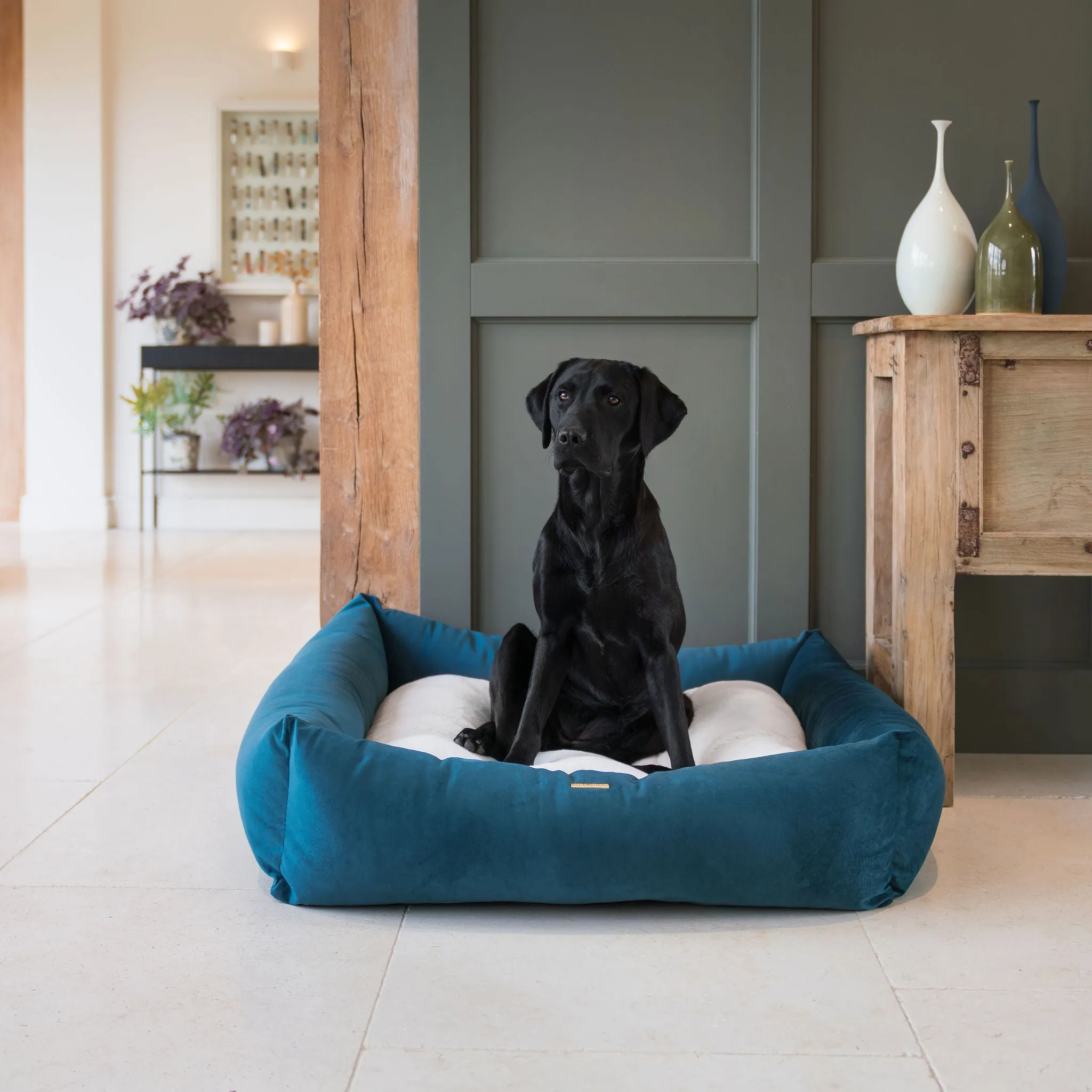 Box Bed In Marine Velvet by Lords & Labradors