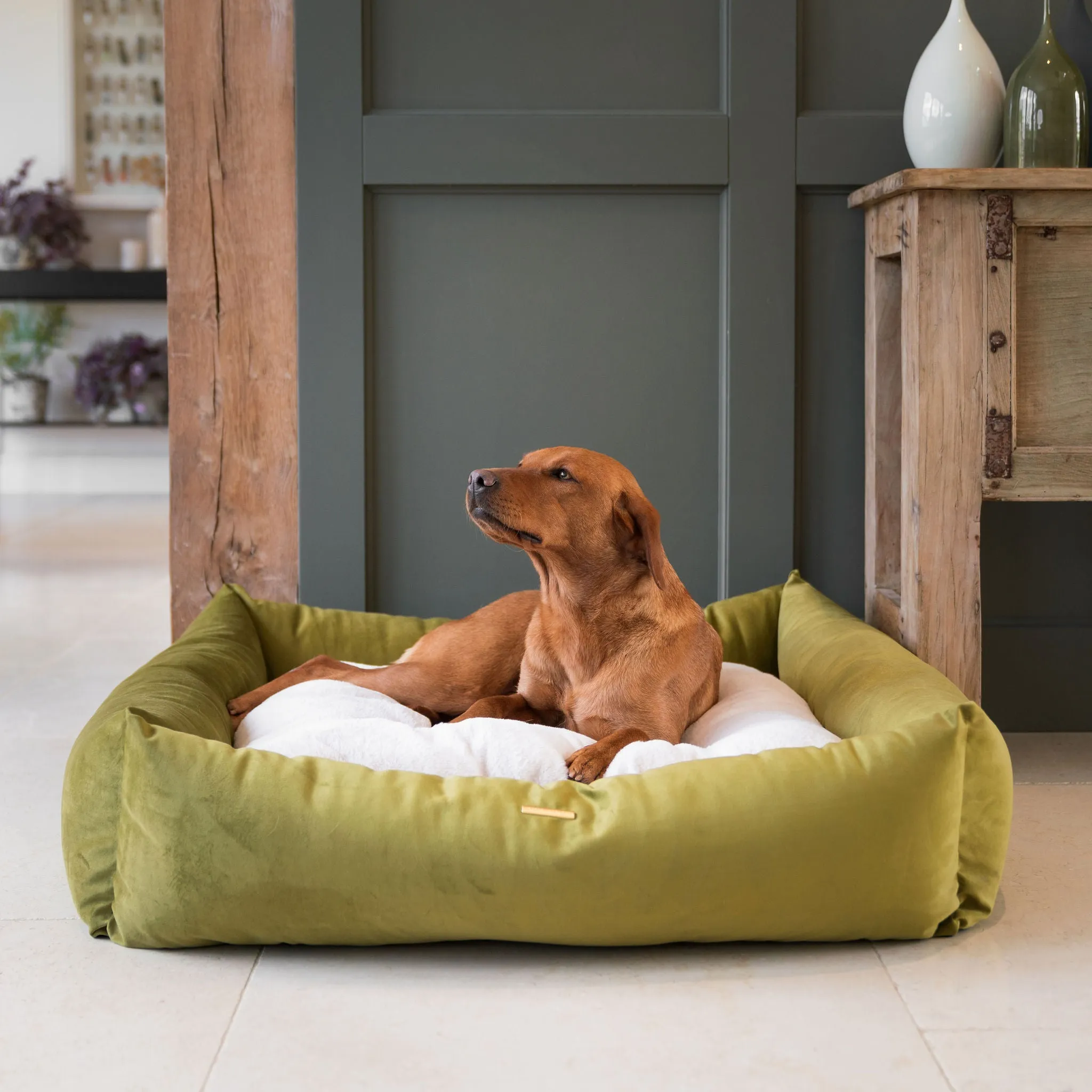 Box Bed With Removable Covers In Olive Velvet by Lords & Labradors