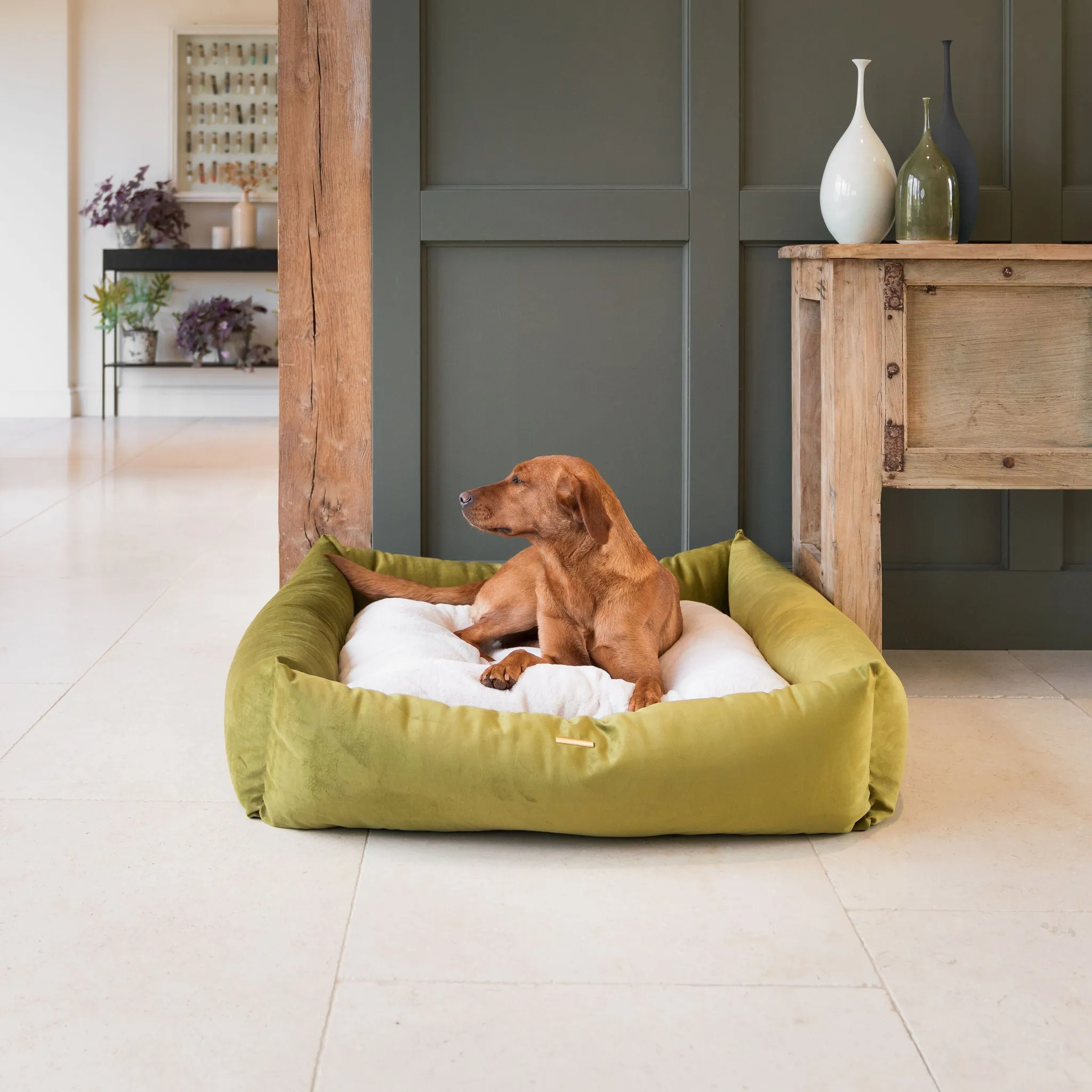 Box Bed With Removable Covers In Olive Velvet by Lords & Labradors