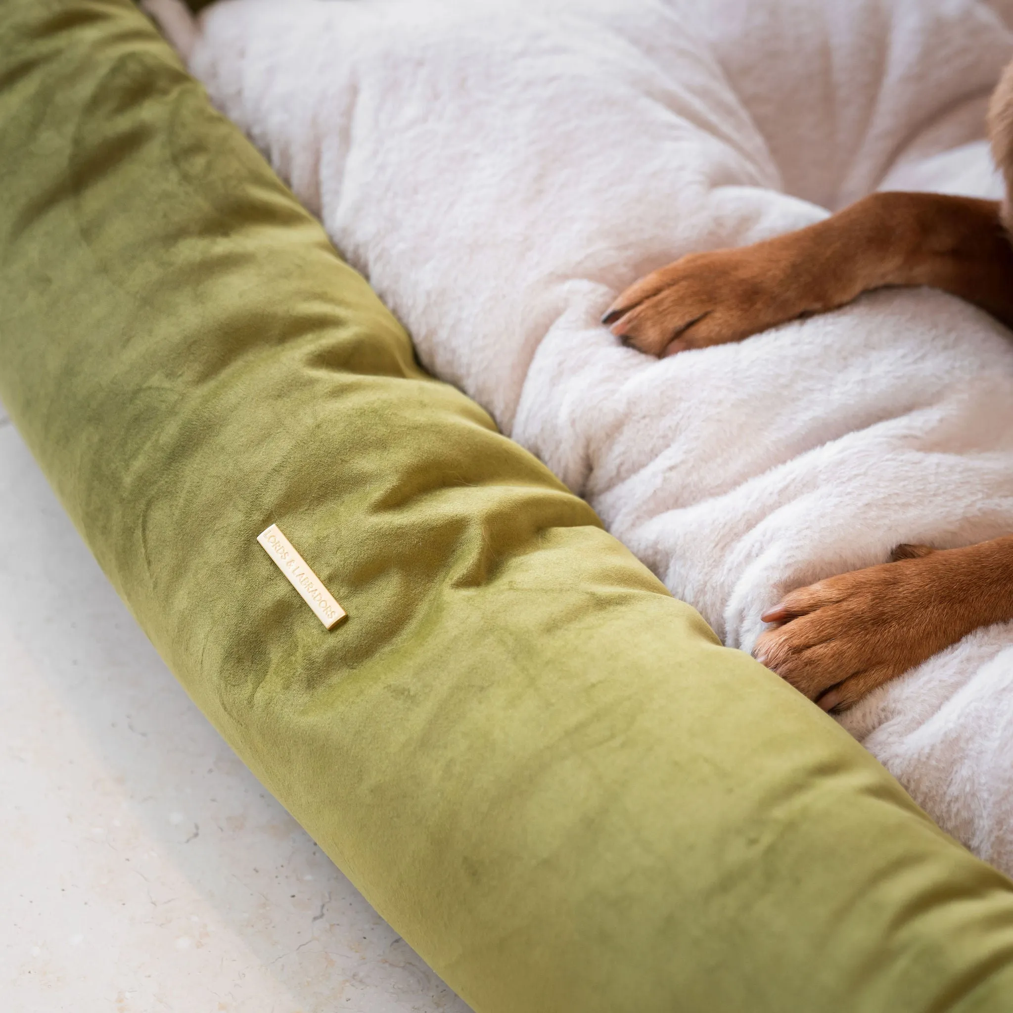 Box Bed With Removable Covers In Olive Velvet by Lords & Labradors