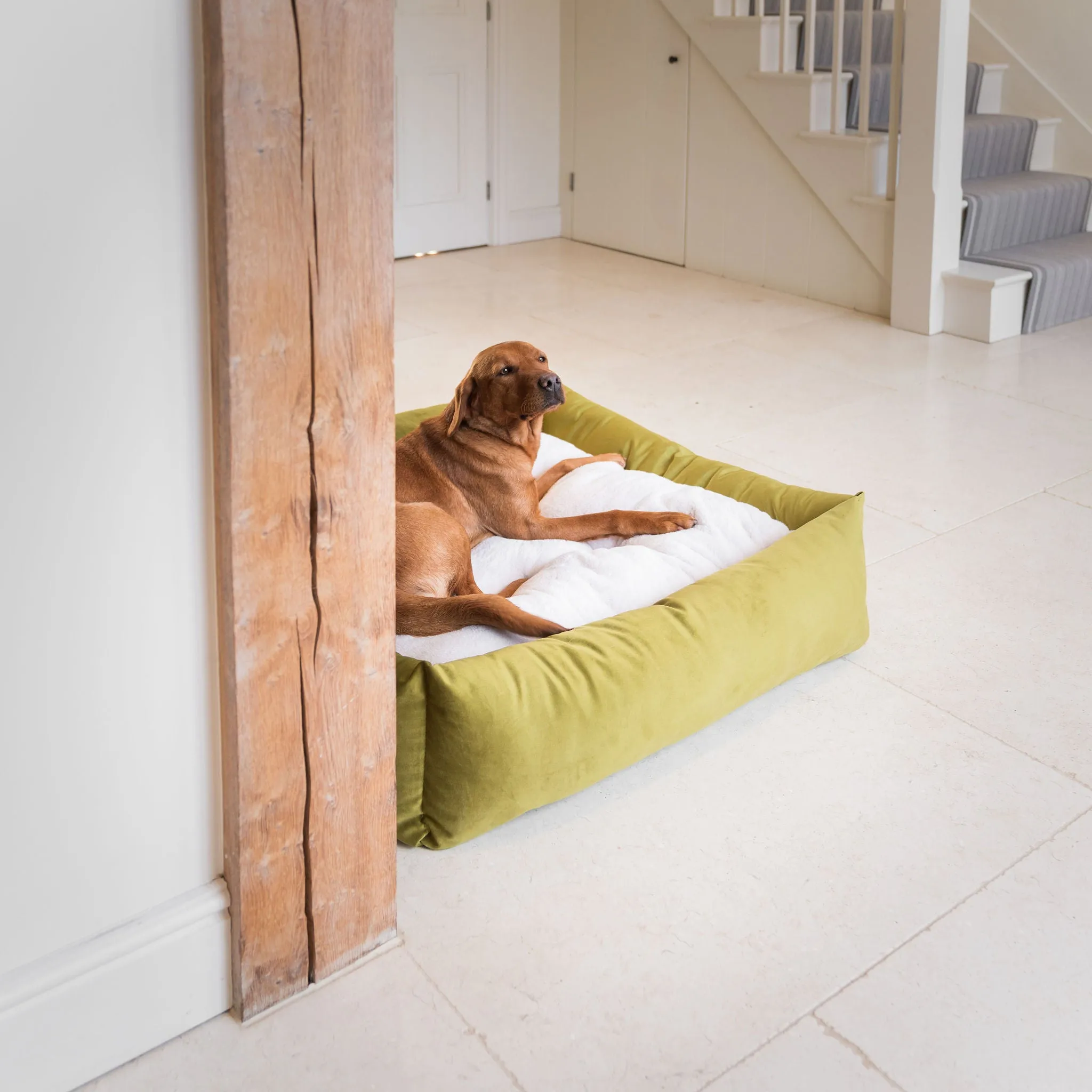 Box Bed With Removable Covers In Olive Velvet by Lords & Labradors