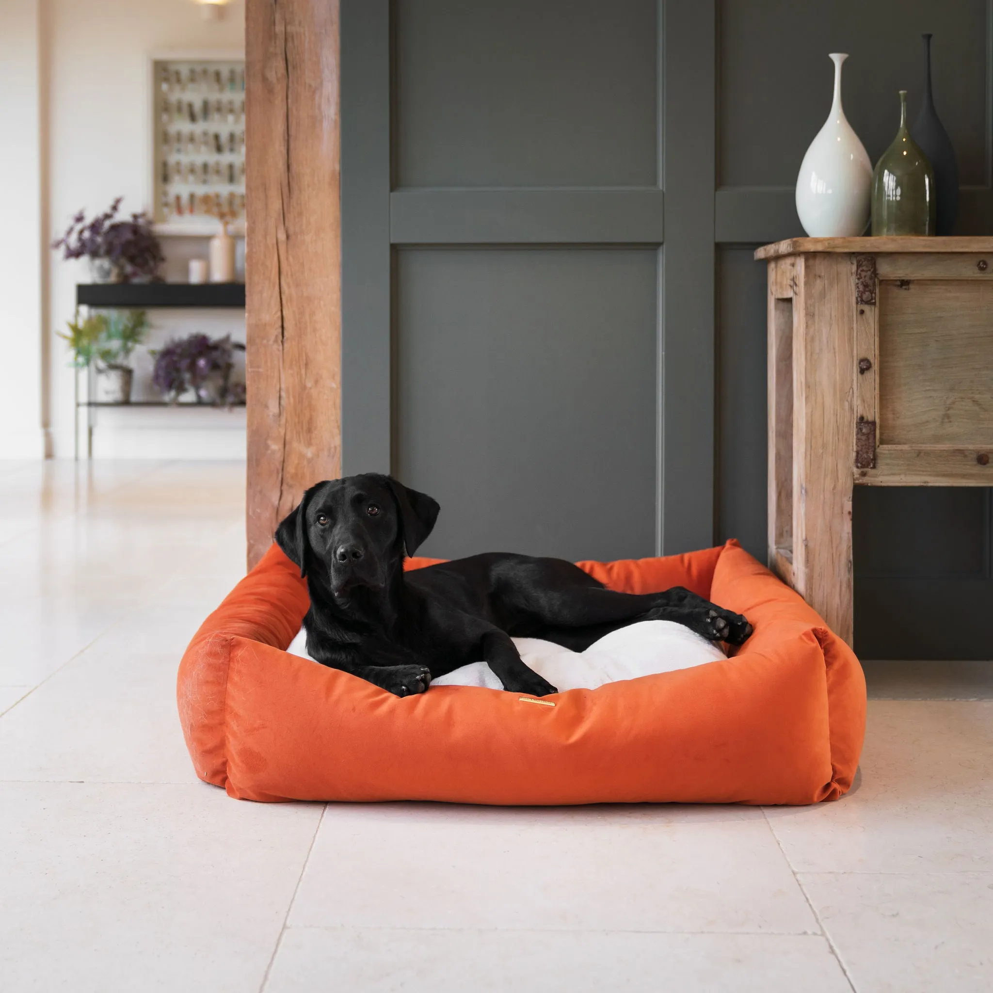 Box Bed With Removable Covers In Pumpkin Velvet by Lords & Labradors