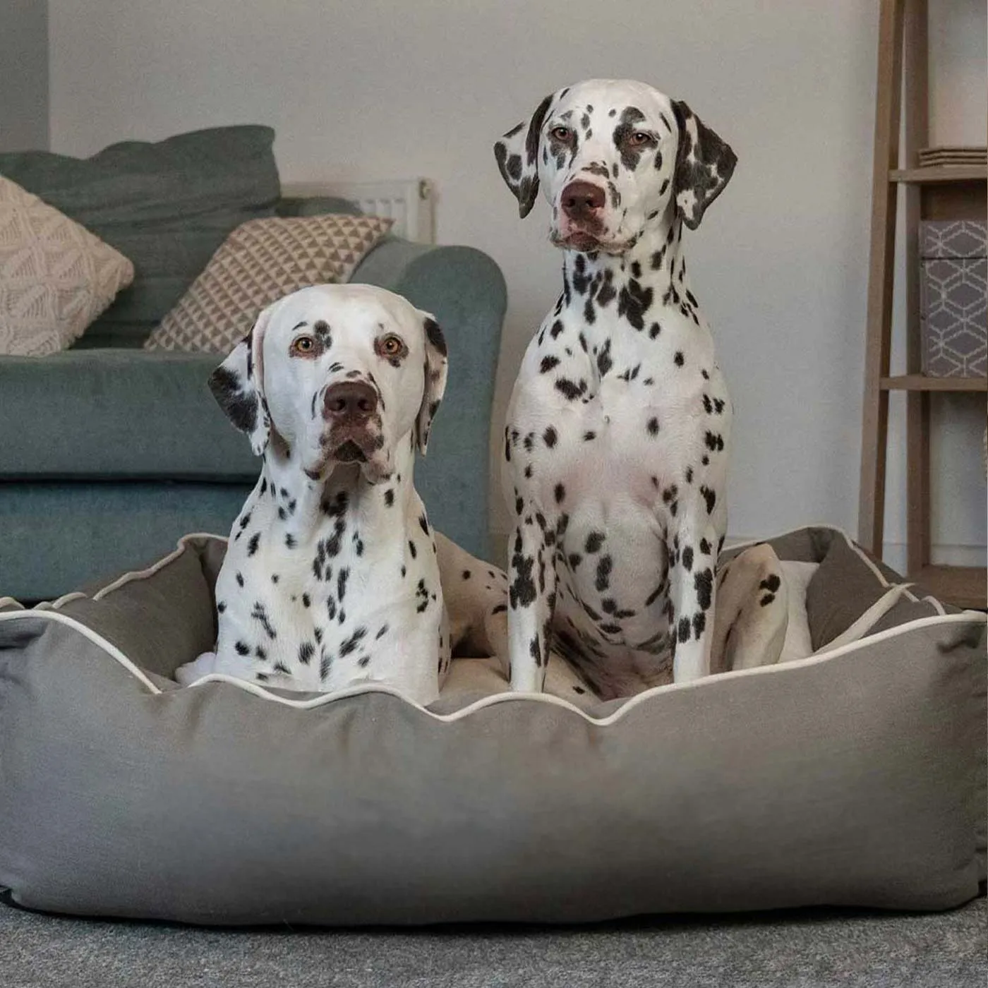 Box Bed With Removable Covers in Savanna Stone by Lords & Labradors