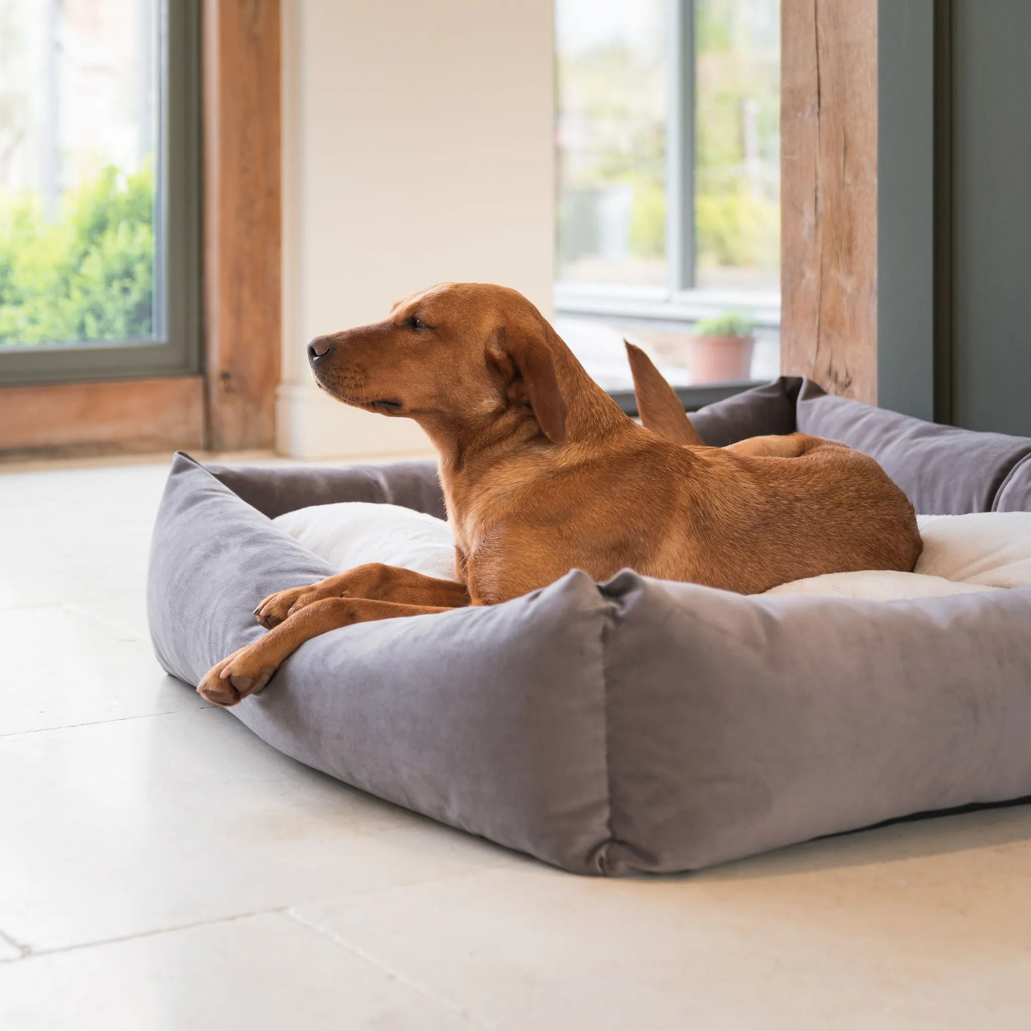 Box Bed With Removable Covers In Silt Velvet by Lords & Labradors