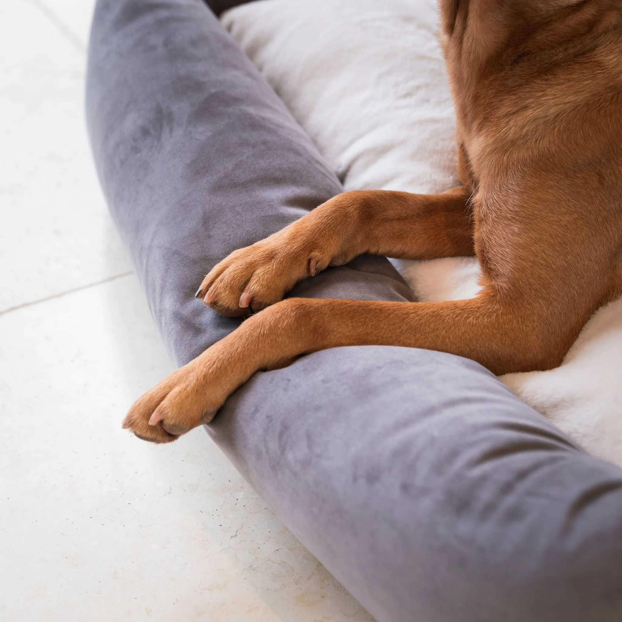 Box Bed With Removable Covers In Silt Velvet by Lords & Labradors