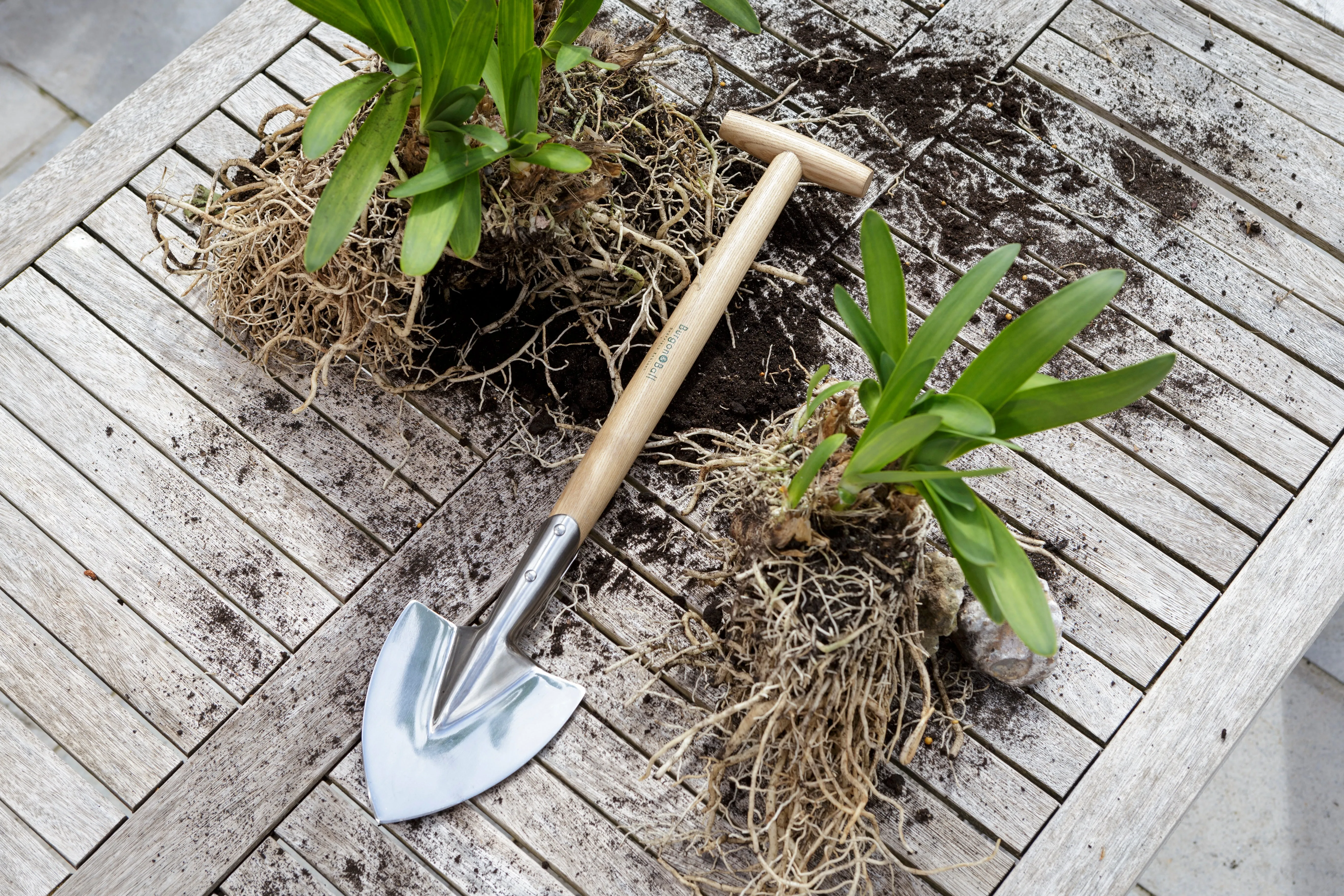 Burgon & Ball RHS Perennial Spade