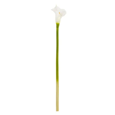 CALLA LILY 27"