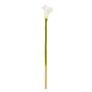 CALLA LILY 27"