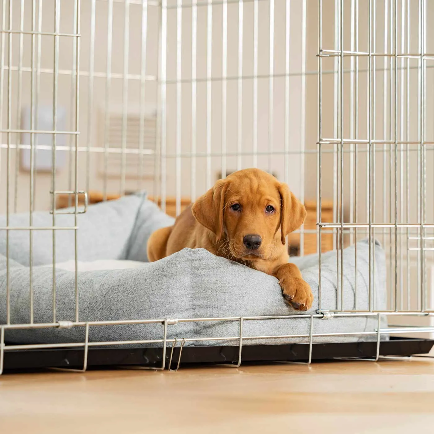 Cosy & Calming Puppy Crate Bed In Inchmurrin Iceberg by Lords & Labradors