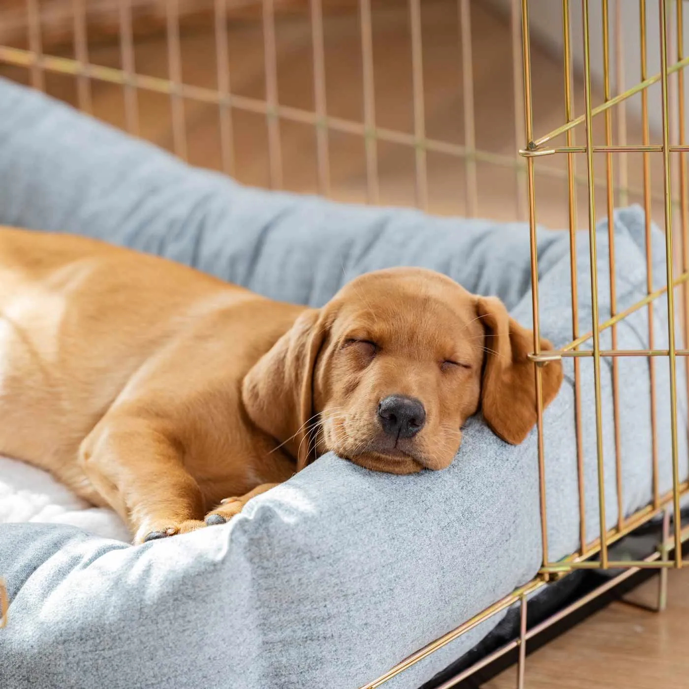 Cosy & Calming Puppy Crate Bed In Inchmurrin Iceberg by Lords & Labradors