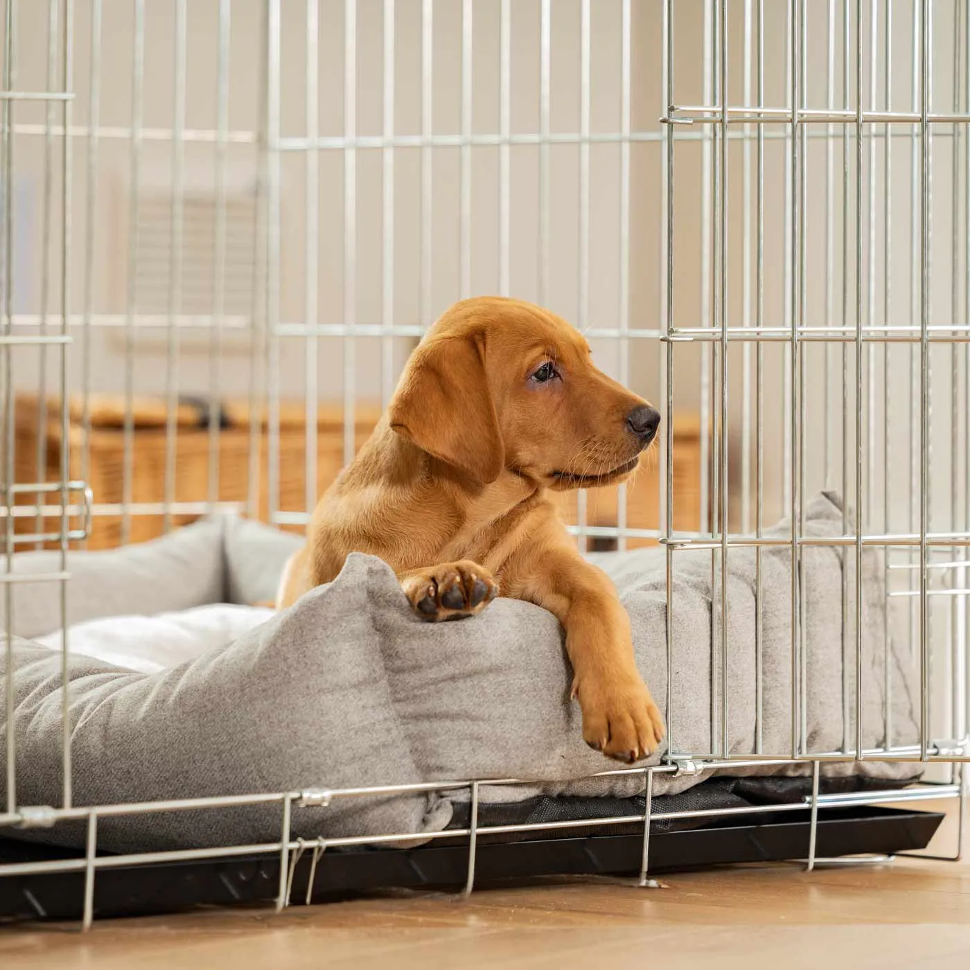 Cosy & Calming Puppy Crate Bed With Removable Covers In Inchmurrin Ground by Lords & Labradors