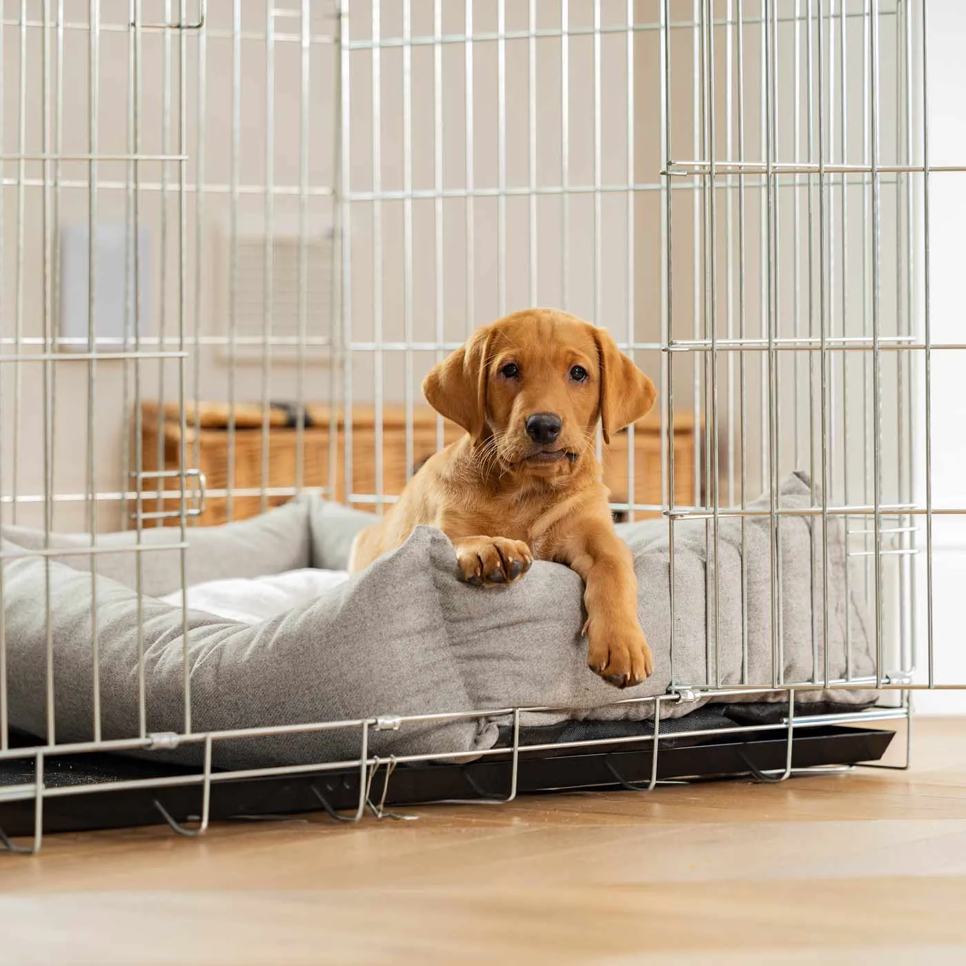 Cosy & Calming Puppy Crate Bed With Removable Covers In Inchmurrin Ground by Lords & Labradors