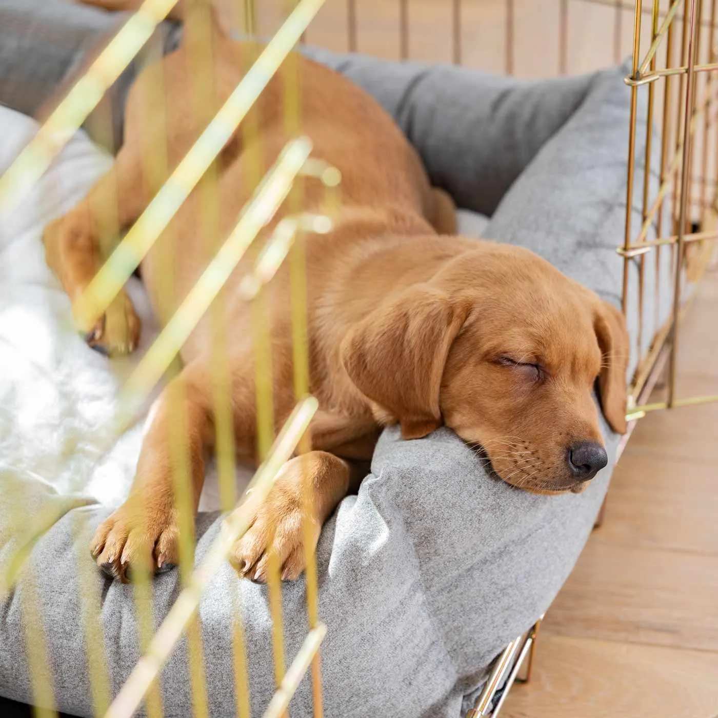 Cosy & Calming Puppy Crate Bed With Removable Covers In Inchmurrin Ground by Lords & Labradors