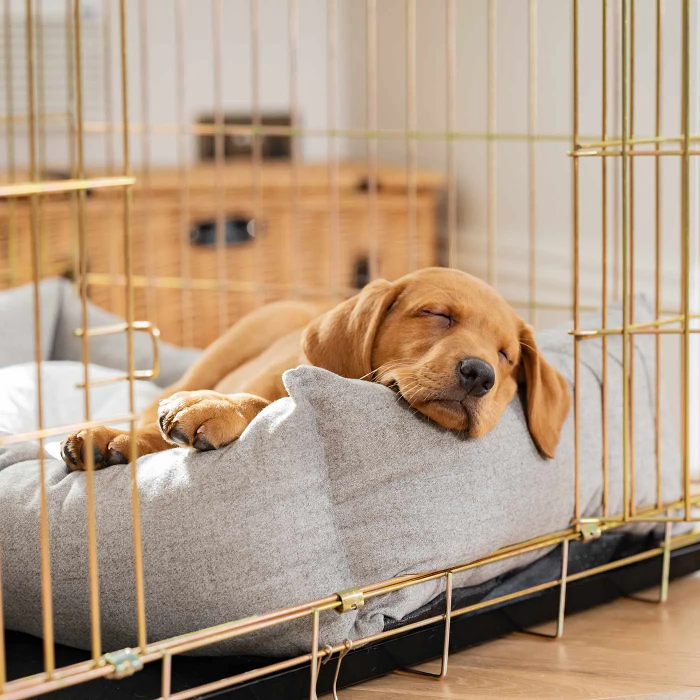 Cosy & Calming Puppy Crate Bed With Removable Covers In Inchmurrin Ground by Lords & Labradors