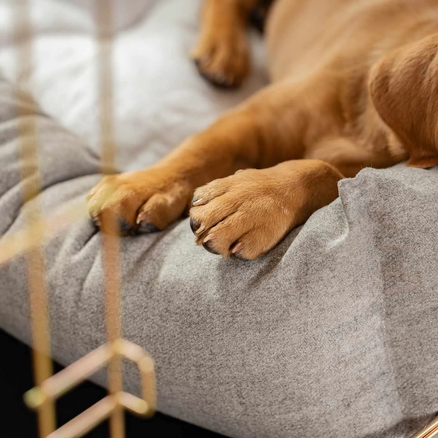 Cosy & Calming Puppy Crate Bed With Removable Covers In Inchmurrin Ground by Lords & Labradors