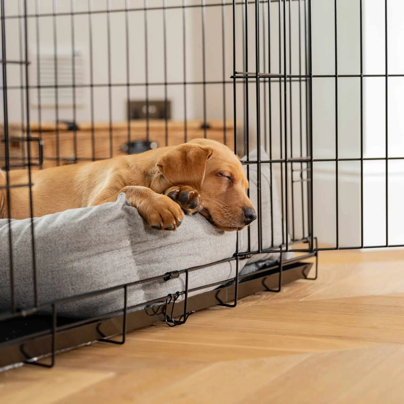 Cosy & Calming Puppy Crate Bed With Removable Covers In Inchmurrin Ground by Lords & Labradors