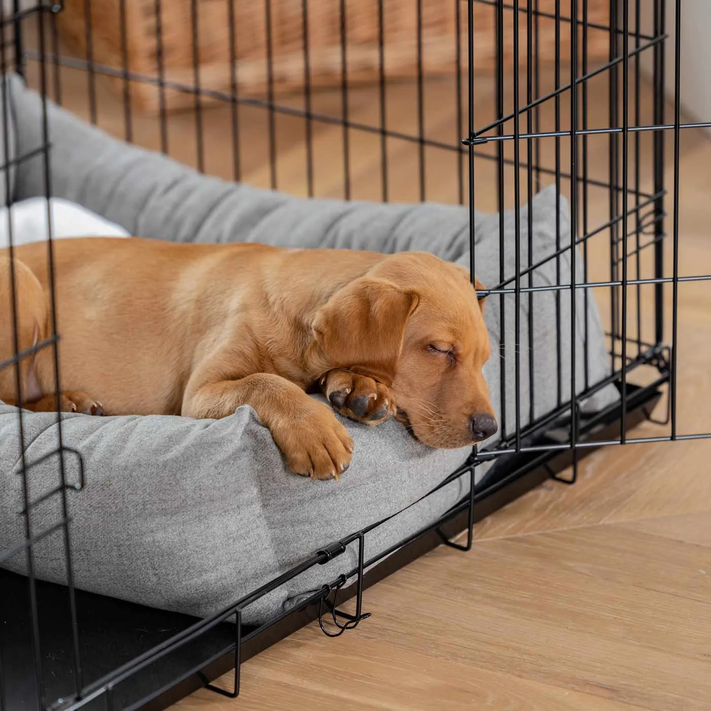 Cosy & Calming Puppy Crate Bed With Removable Covers In Inchmurrin Ground by Lords & Labradors