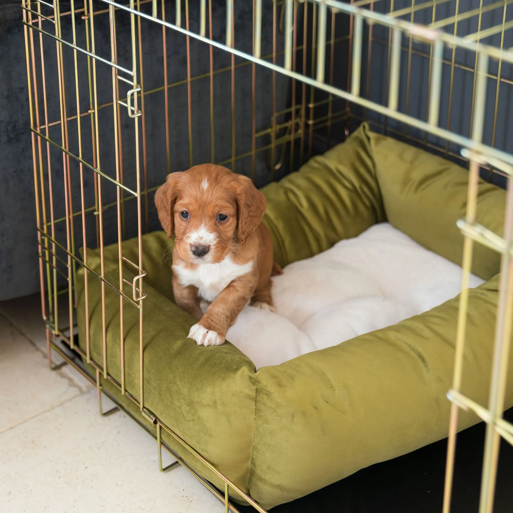 Cosy & Calming Puppy Crate Bed With Removable Covers In Olive Velvet by Lords & Labradors