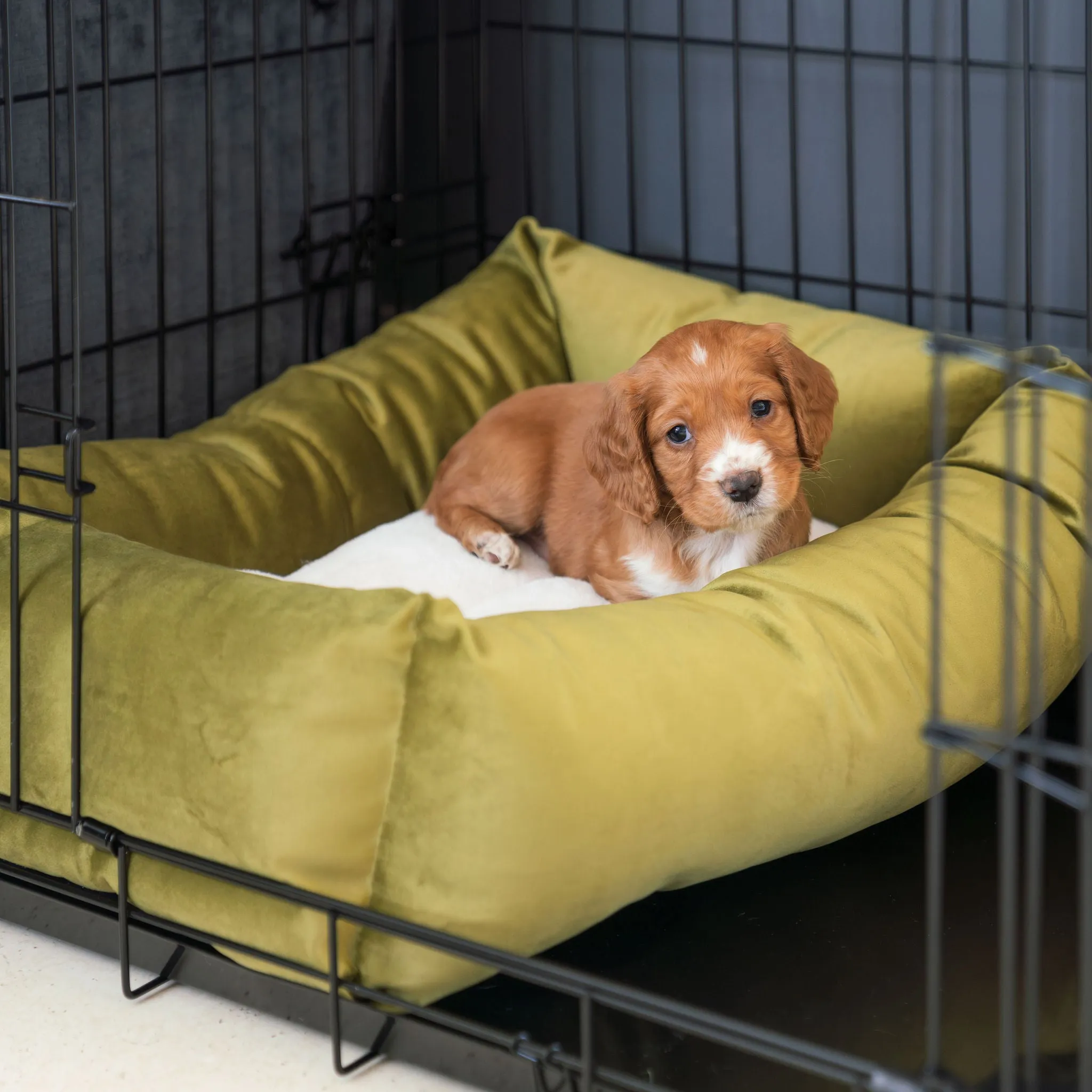 Cosy & Calming Puppy Crate Bed With Removable Covers In Olive Velvet by Lords & Labradors