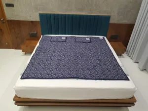 GT Enterprise BIO Magnetic Mattress Protector with 2 Pillow (6X6 feet) Blue