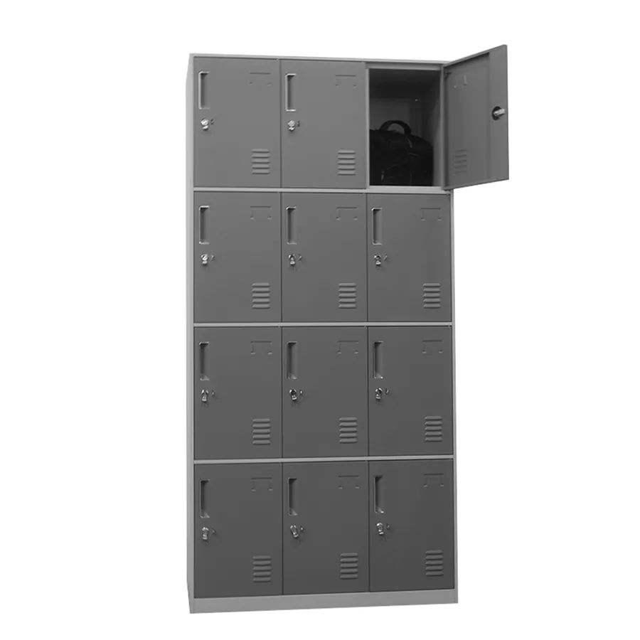 Hanley 12 Door Metal Locker