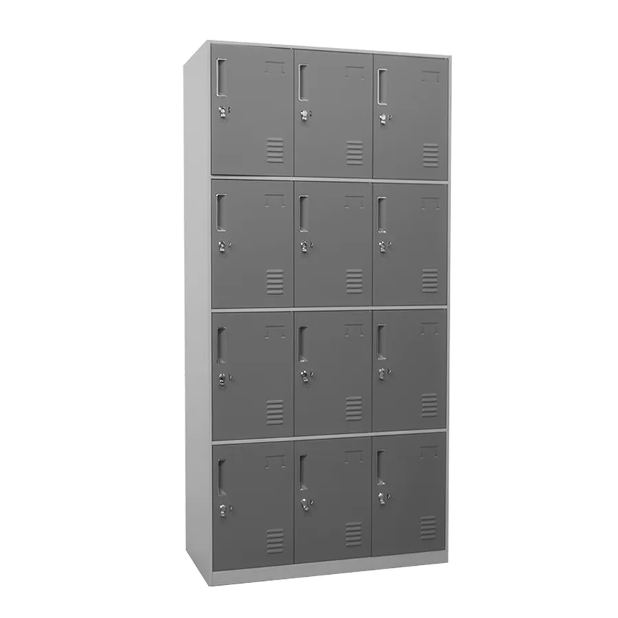 Hanley 12 Door Metal Locker