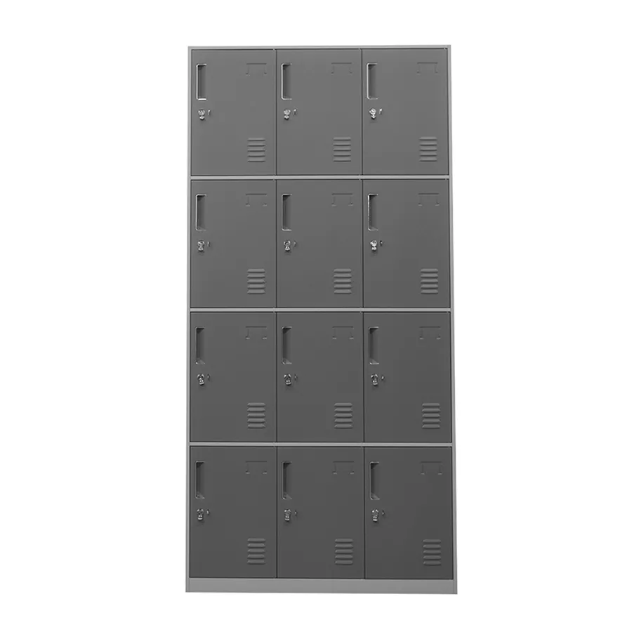 Hanley 12 Door Metal Locker