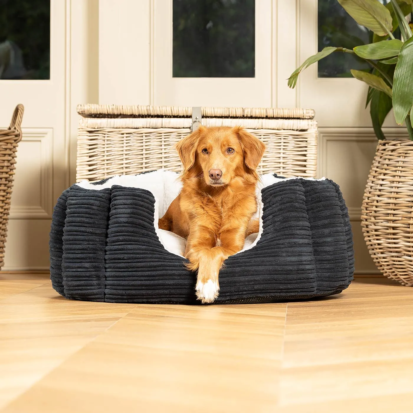 High Wall Bed in Essentials Navy Plush by Lords & Labradors