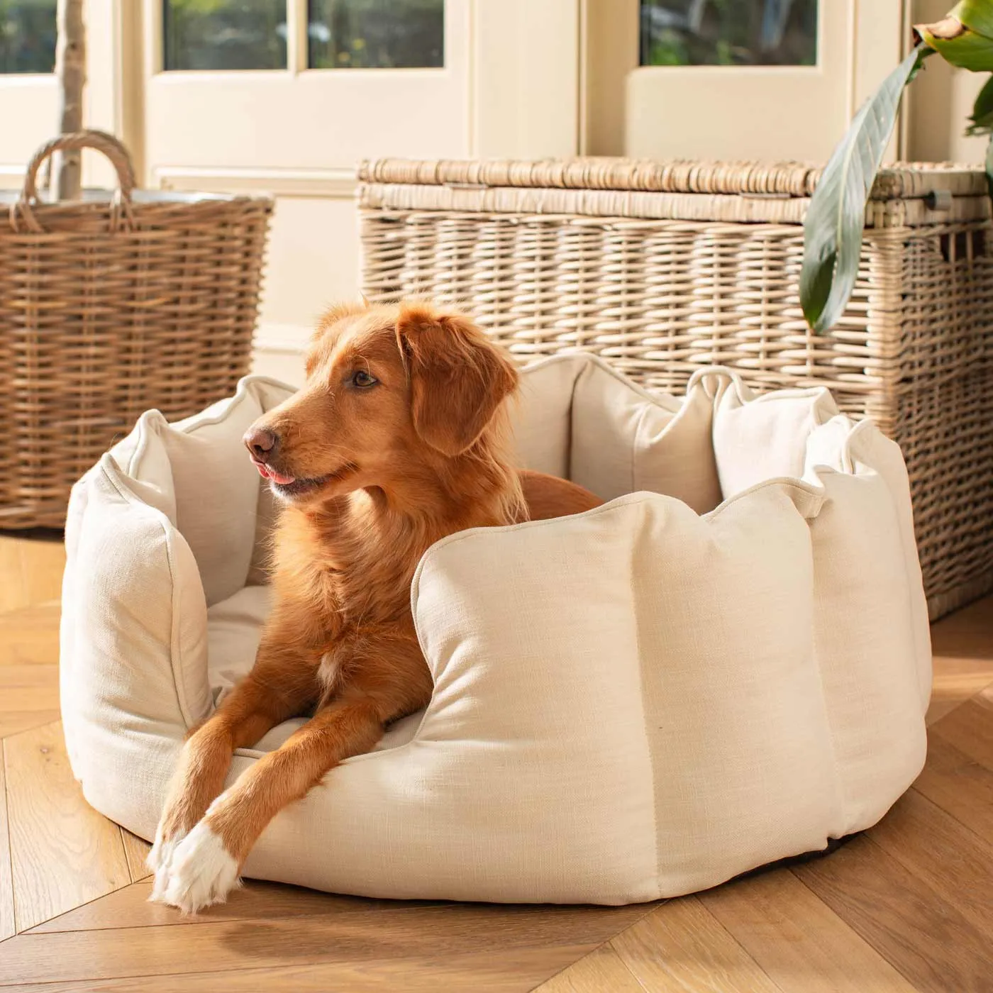 High Wall Bed in Savanna Bone by Lords & Labradors