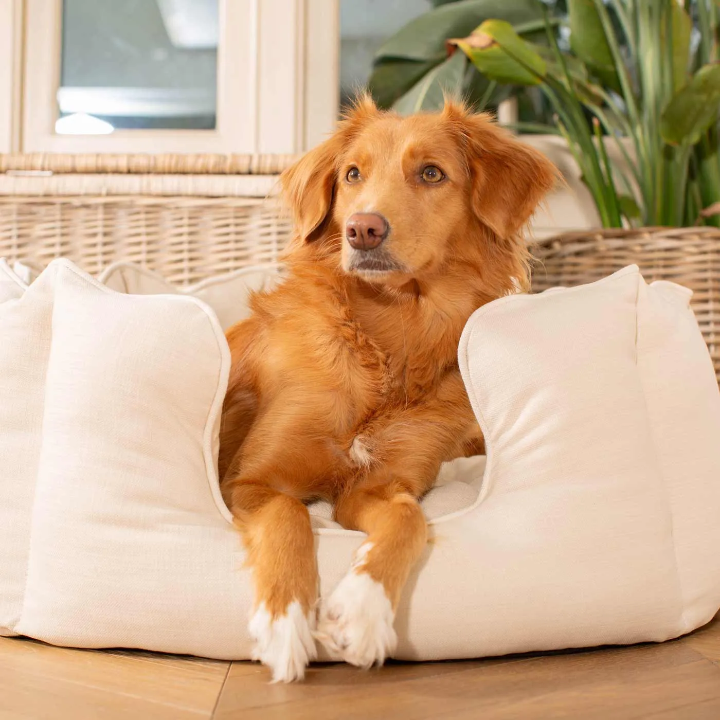 High Wall Bed in Savanna Bone by Lords & Labradors