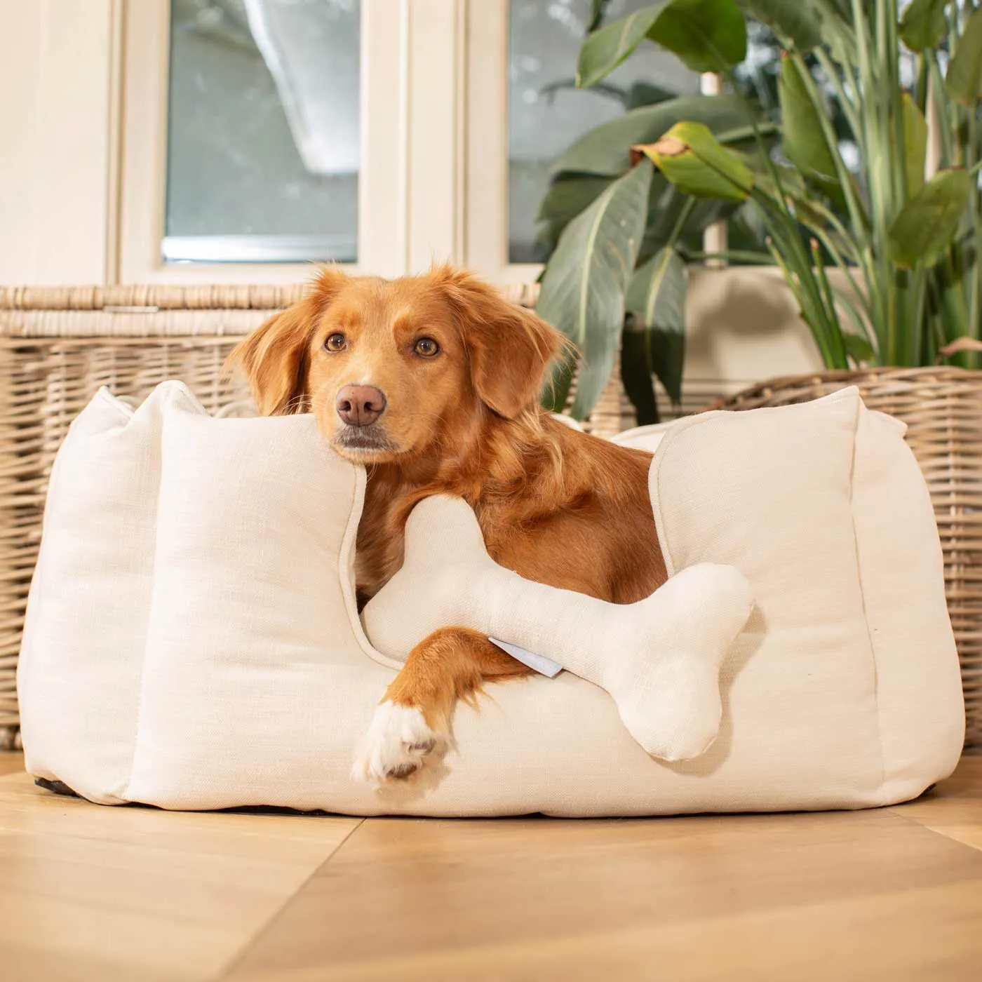 High Wall Bed in Savanna Bone by Lords & Labradors