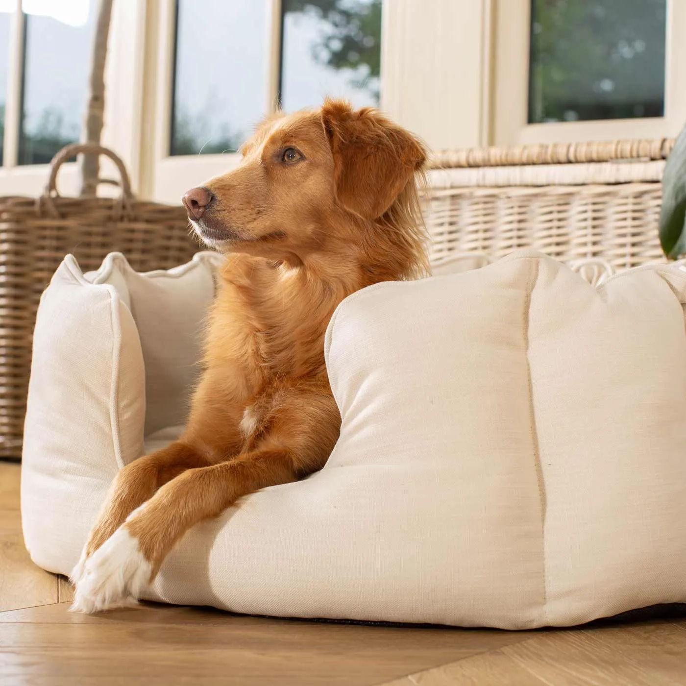 High Wall Bed in Savanna Bone by Lords & Labradors