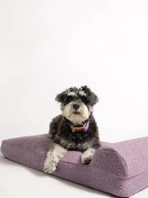 Hommey Boucle Pet Bed - Lilac