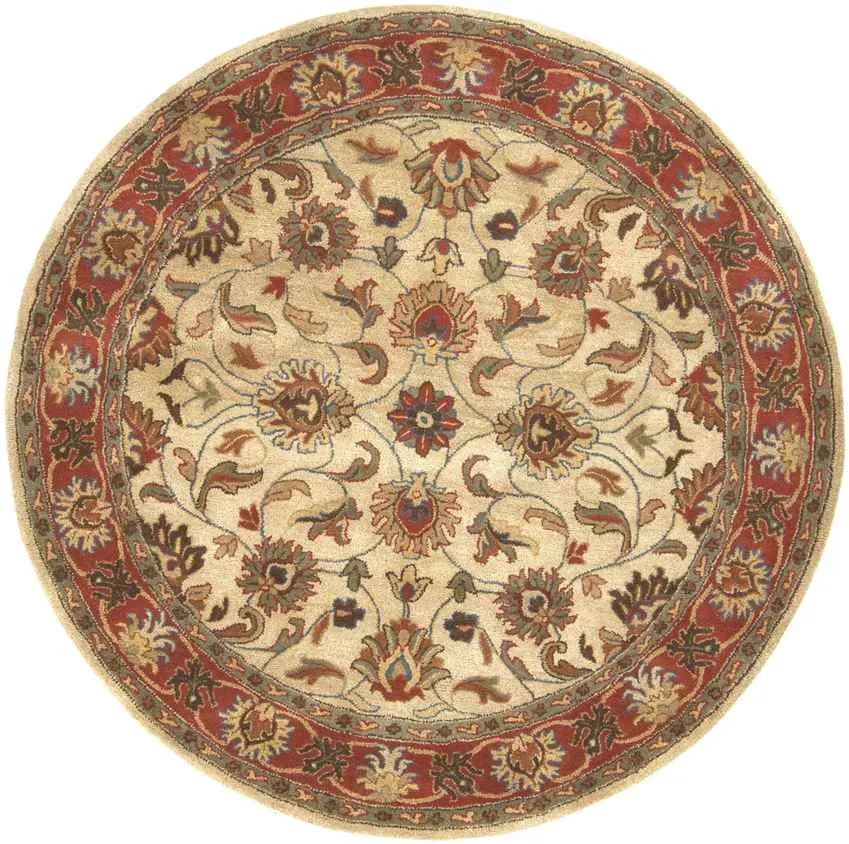 Paris Traditional Area Rug Carpet for Living Room Bedroom or Kitchen