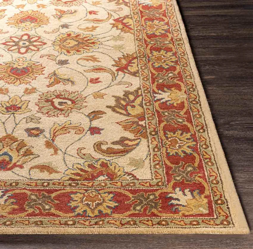 Paris Traditional Area Rug Carpet for Living Room Bedroom or Kitchen