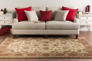 Paris Traditional Area Rug Carpet for Living Room Bedroom or Kitchen