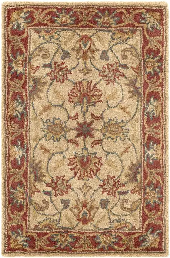 Paris Traditional Area Rug Carpet for Living Room Bedroom or Kitchen