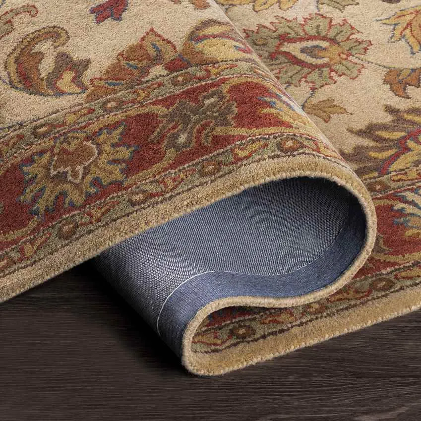 Paris Traditional Area Rug Carpet for Living Room Bedroom or Kitchen