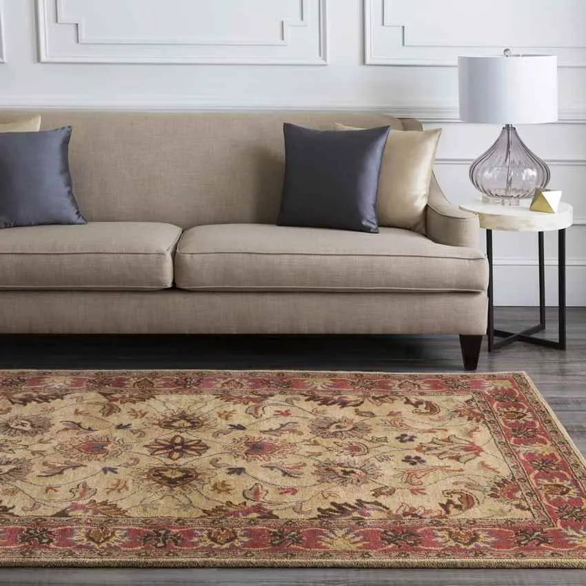 Paris Traditional Area Rug Carpet for Living Room Bedroom or Kitchen