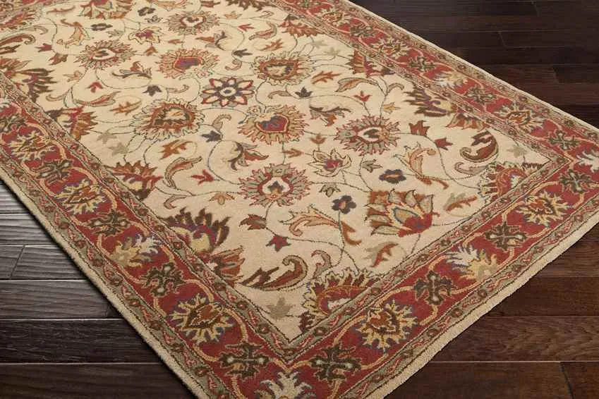 Paris Traditional Area Rug Carpet for Living Room Bedroom or Kitchen