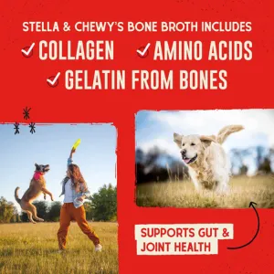 Stella & Chewy's Bountiful Bone Broth Beef for Dogs 16 oz