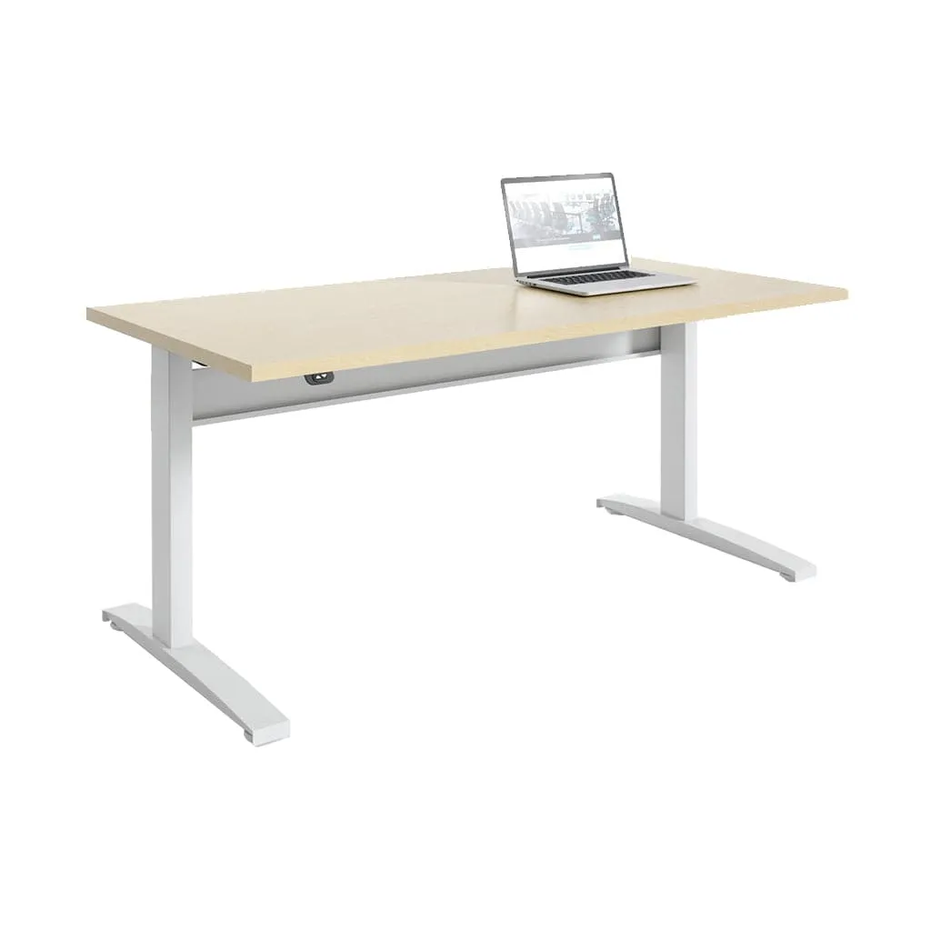 Transcend Sit to Stand Desk