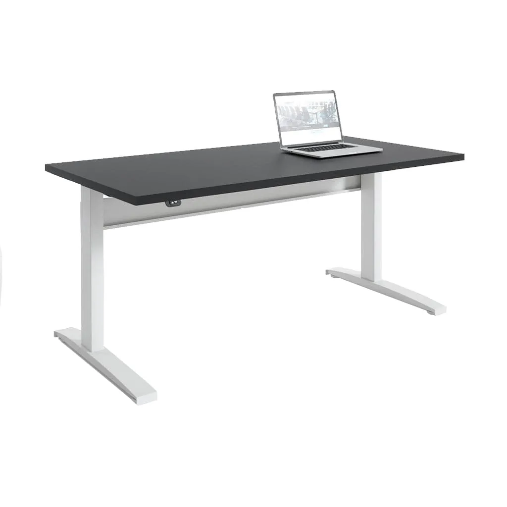 Transcend Sit to Stand Desk